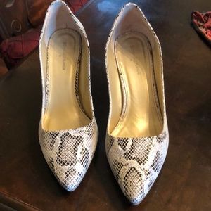 DJP Taupe Python Glitter Pump